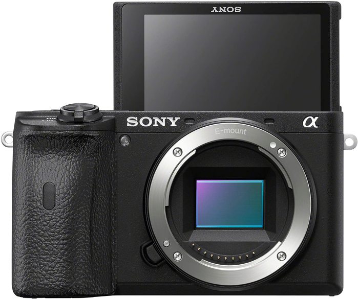 Sony A6600 Camera