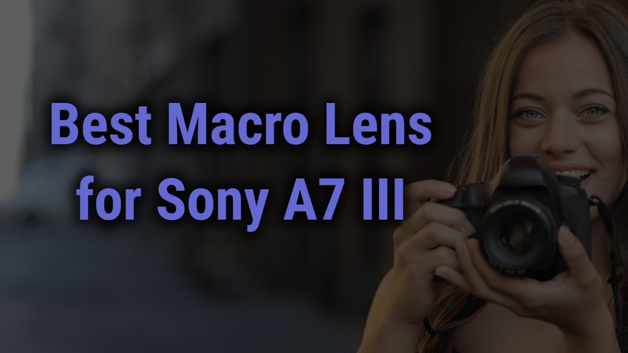 Best Macro Lens for Sony A7III Camera