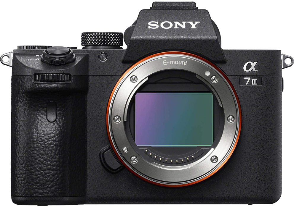 Sony A7III Camera without Lens