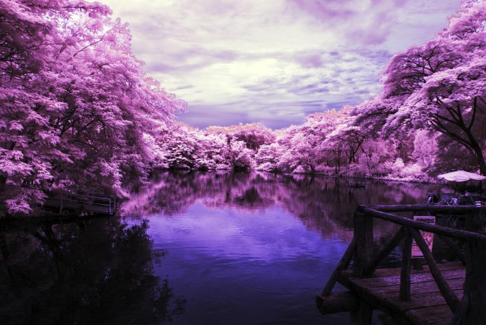 Infrared camera lens photography