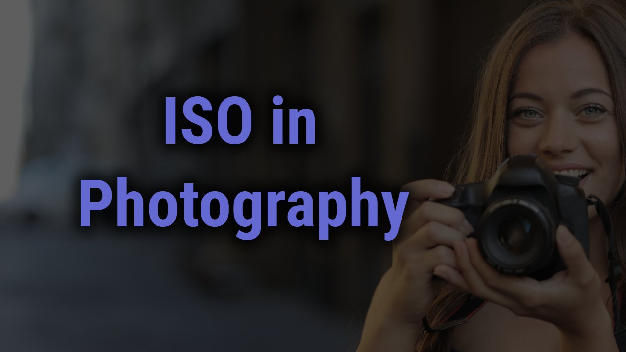 An In-depth Introduction to ISO in Photography