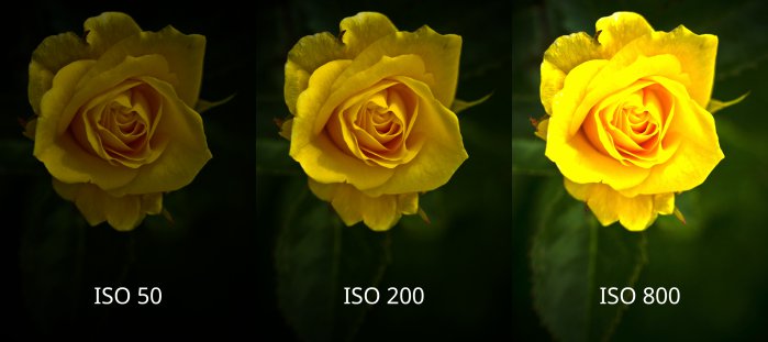 ISO in Photography