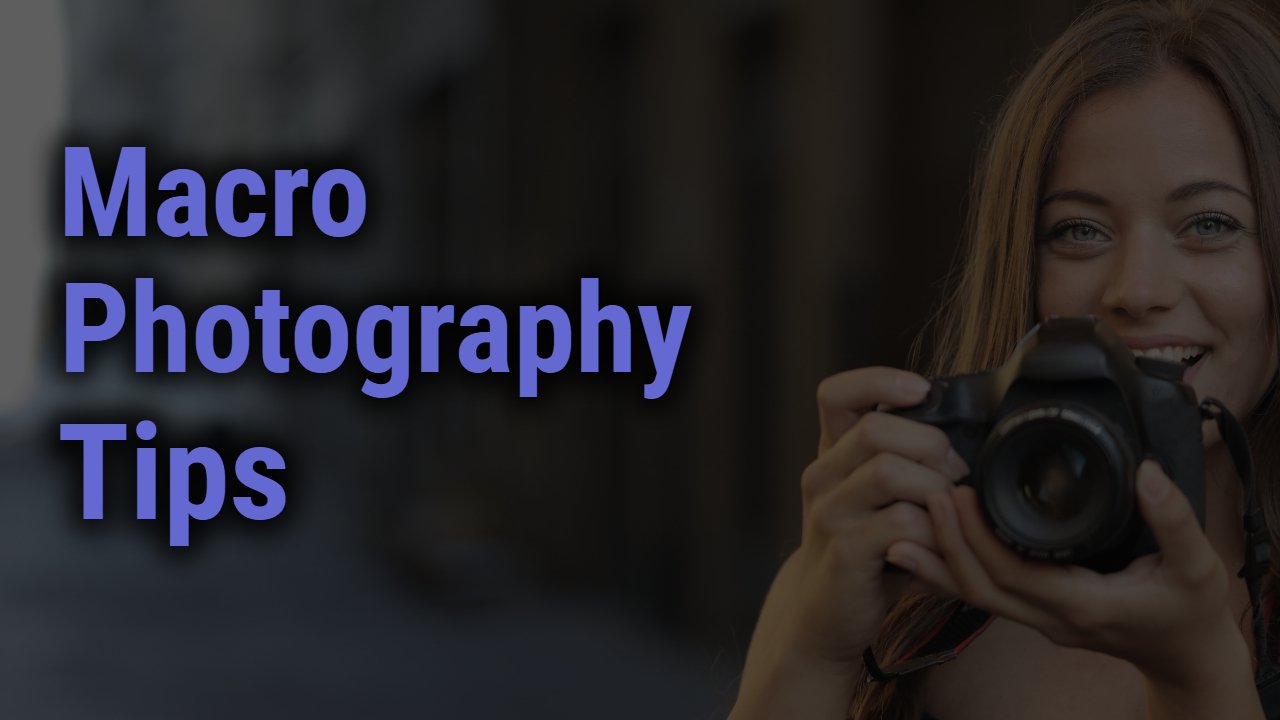 Macro Photography Tips