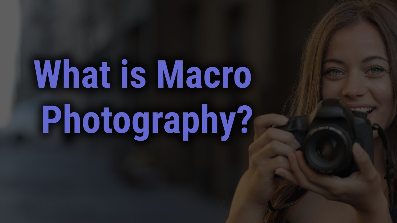 What is macro photography