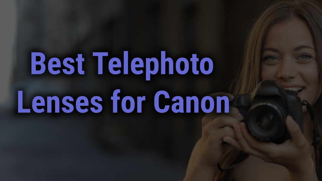 Best Telephoto Lenses for Canon Cameras | Guide of 2024